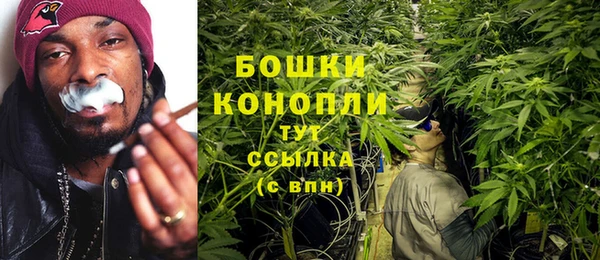 твердый Абаза