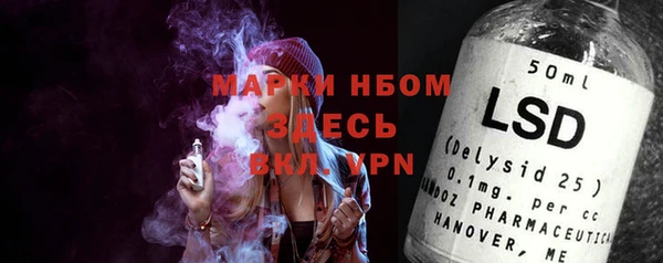 твердый Абаза