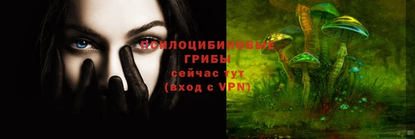 твердый Абаза