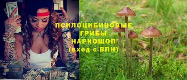твердый Абаза