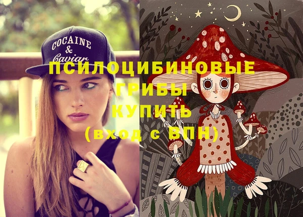 тгк Абдулино