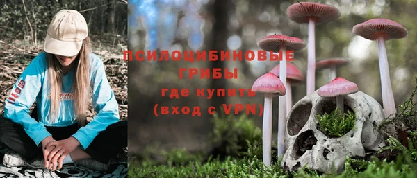 твердый Абаза
