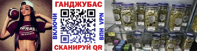 Бошки Шишки планчик  Холм 